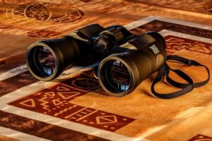 Why Binoculars Are The Key To Winning At The Races  